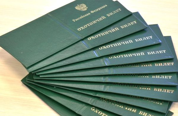 В России предложили разрешить продажу оружия мигрантам после службы в армии NEWS